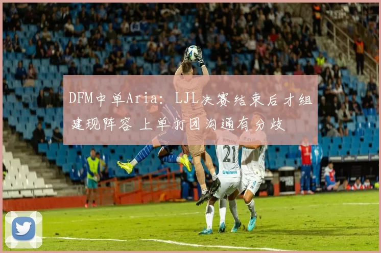 DFM中单Aria：LJL决赛结束后才组建现阵容 上单打团沟通有分歧