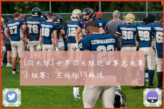 [羽毛球]世界羽毛球巡回赛总决赛小组赛：王祉怡VS韩悦