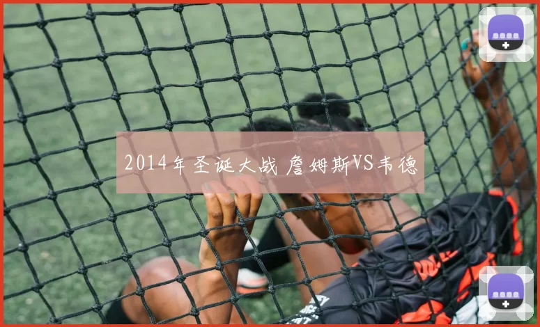 2014年圣诞大战 詹姆斯VS韦德