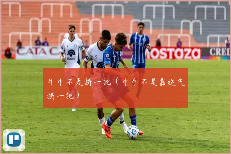 牛牛不是拼一把（牛牛不是靠运气拼一把）