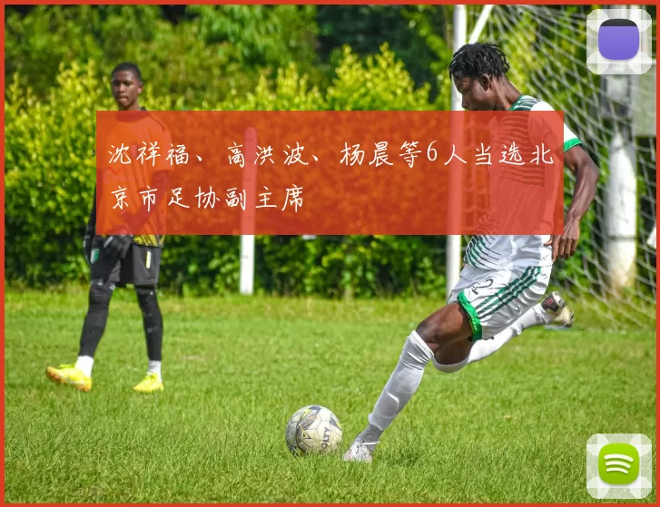 沈祥福、高洪波、杨晨等6人当选北京市足协副主席