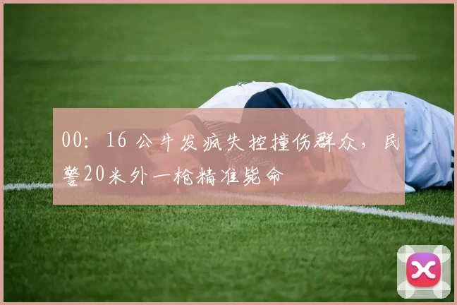 00：16 公牛发疯失控撞伤群众，民警20米外一枪精准毙命