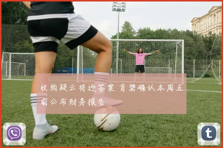 收购疑云将迎答案 育碧确认本周五前公布财务报告