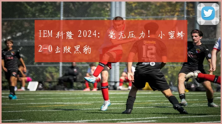 IEM 科隆 2024：毫无压力！小蜜蜂2-0击败黑豹